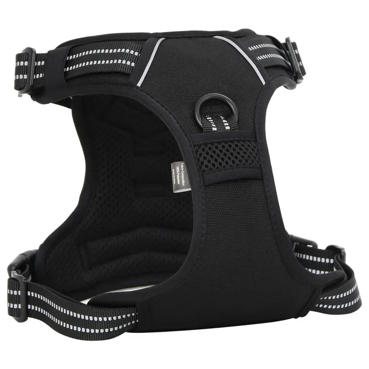 Harness
