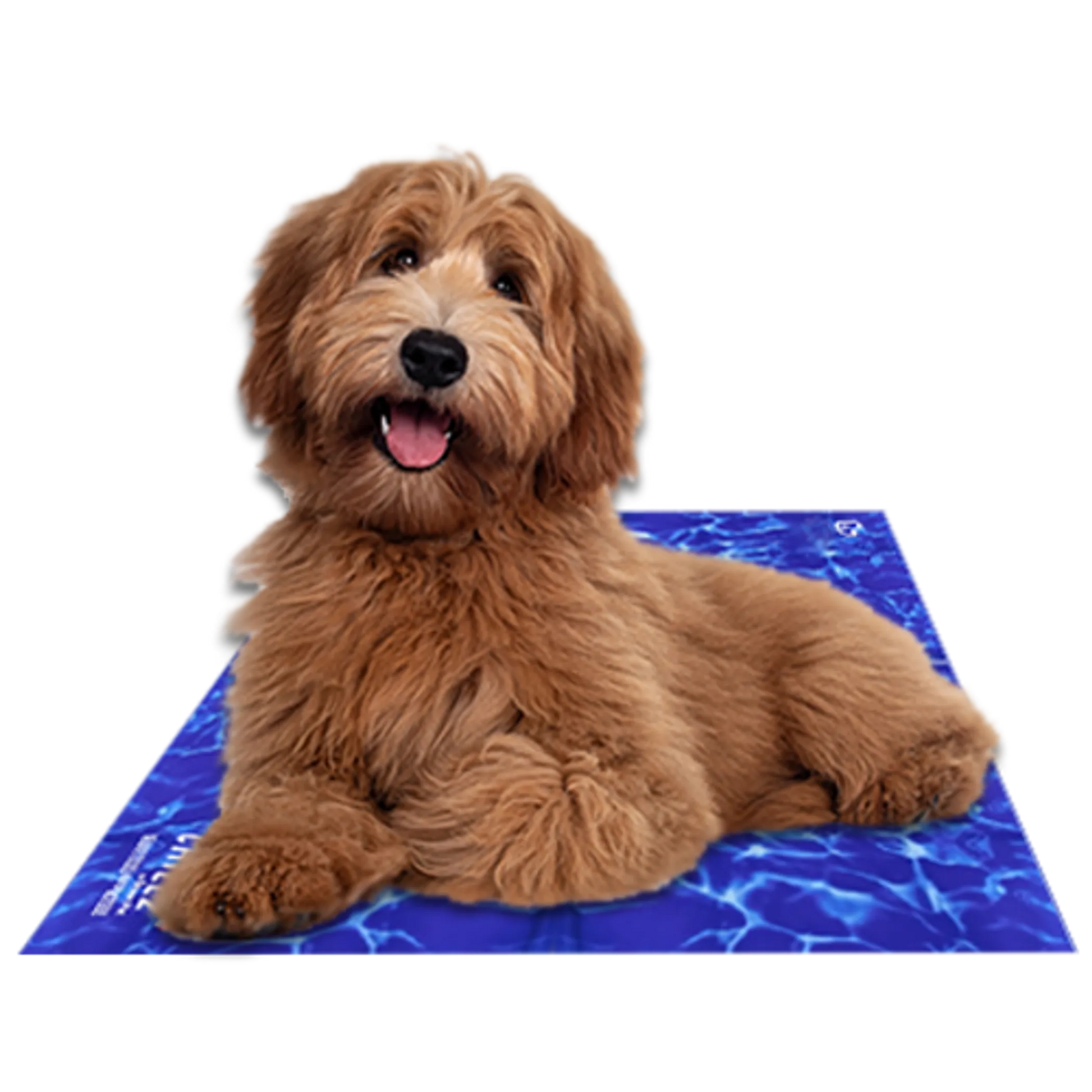 Chillz Gel Mat by The Green Pet Shop