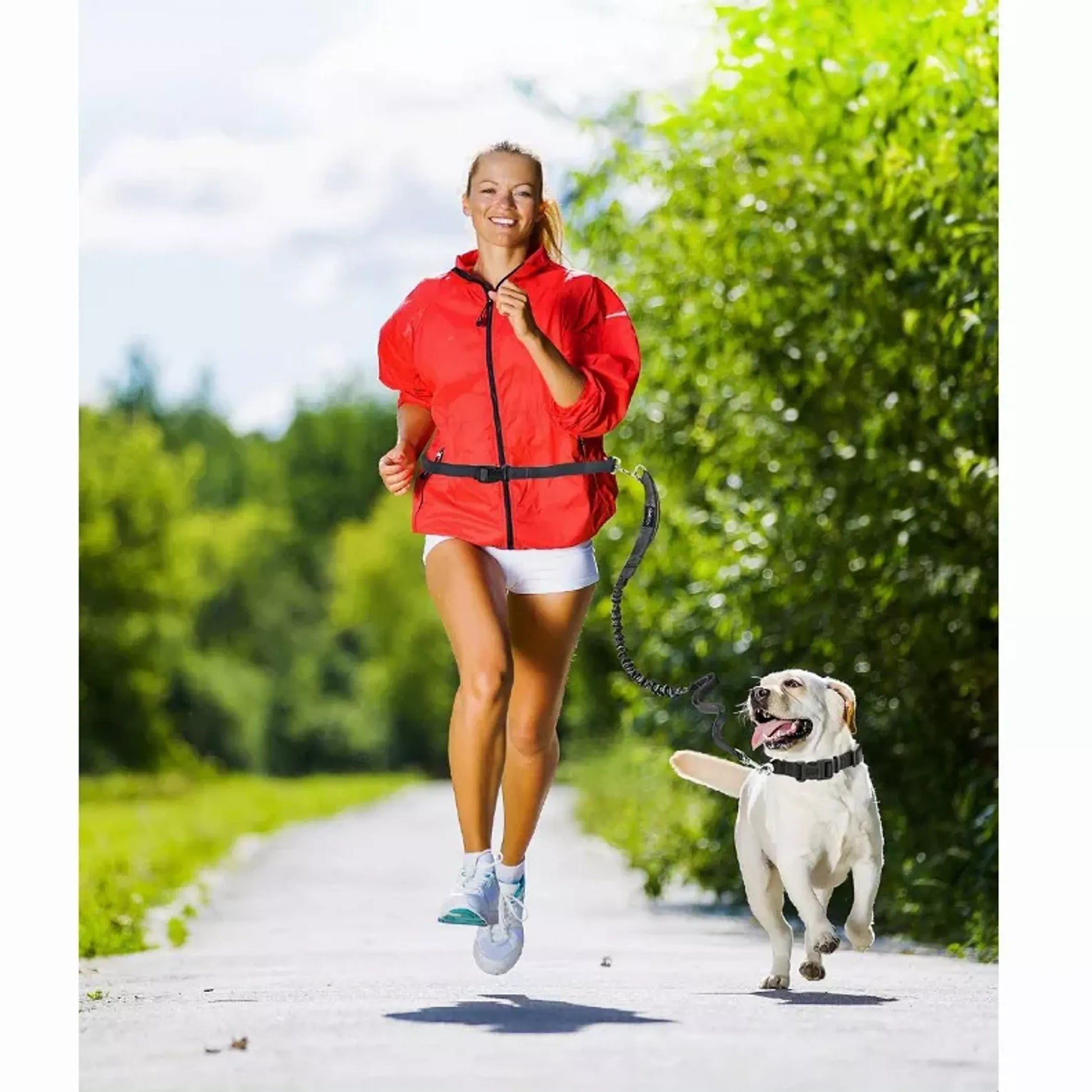JESPET Hands Free Dog Leash for Running, Walking, Hiking Jogging for Medium & Large Dogs up to 150lbs, Durable Dual Handle Waist Leash with Reflective Bungee and Adjustable Waist by JESPET