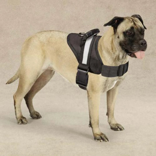 Guardian Gear Excursion Harnesses 36-46In by Guardian Gear