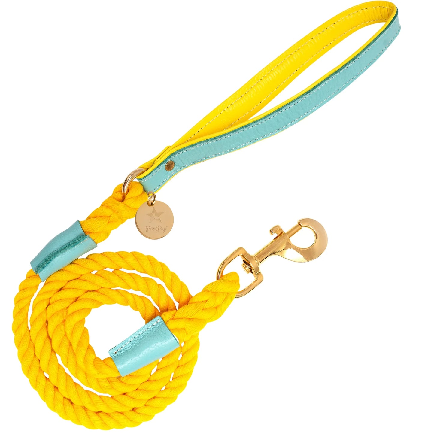 Dog Leash by PoisePup