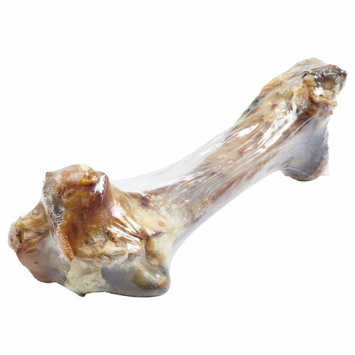 Giant Grass Fed Beef Femur Bone For Large Dogs Chew by Titan's Tails & Treats
