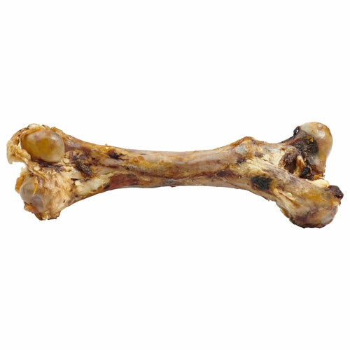 Giant Grass Fed Beef Femur Bone For Large Dogs Chew by Titan's Tails & Treats