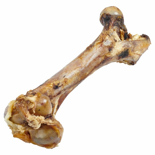Giant Grass Fed Beef Femur Bone For Large Dogs Chew by Titan's Tails & Treats