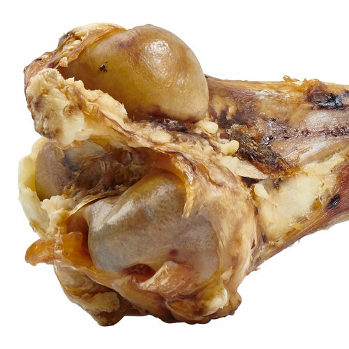 Giant Grass Fed Beef Femur Bone For Large Dogs Chew by Titan's Tails & Treats