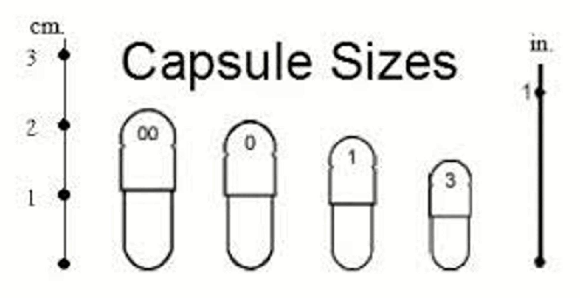 Hepa Protect Max Capsules - Liver, Kidney, Bladder & Gall Bladder Support & Cleanse* by Organic Pet Systems