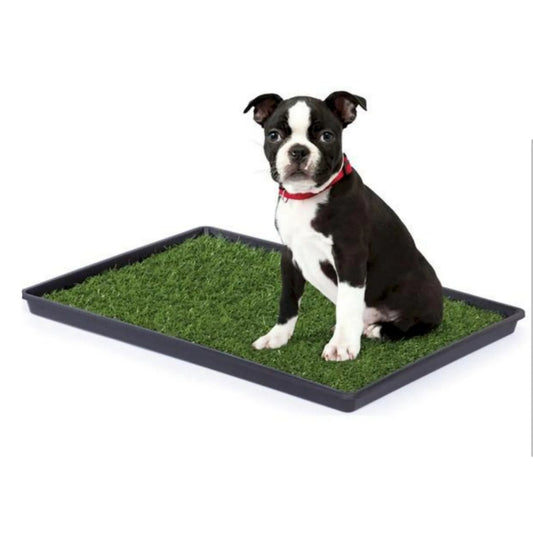 Mr. Peanut's Potty Place - Artificial Grass Puppy Pad for Dogs and Small Pets by Mr. Peanut's Premium Products