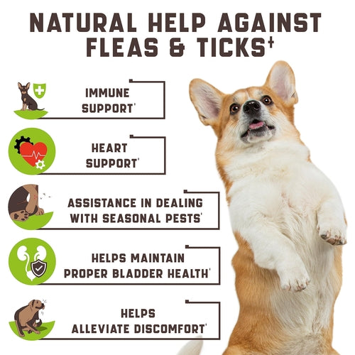 Flea And Tick Prevention Chewables For Dogs No Collars by Titan's Tails & Treats