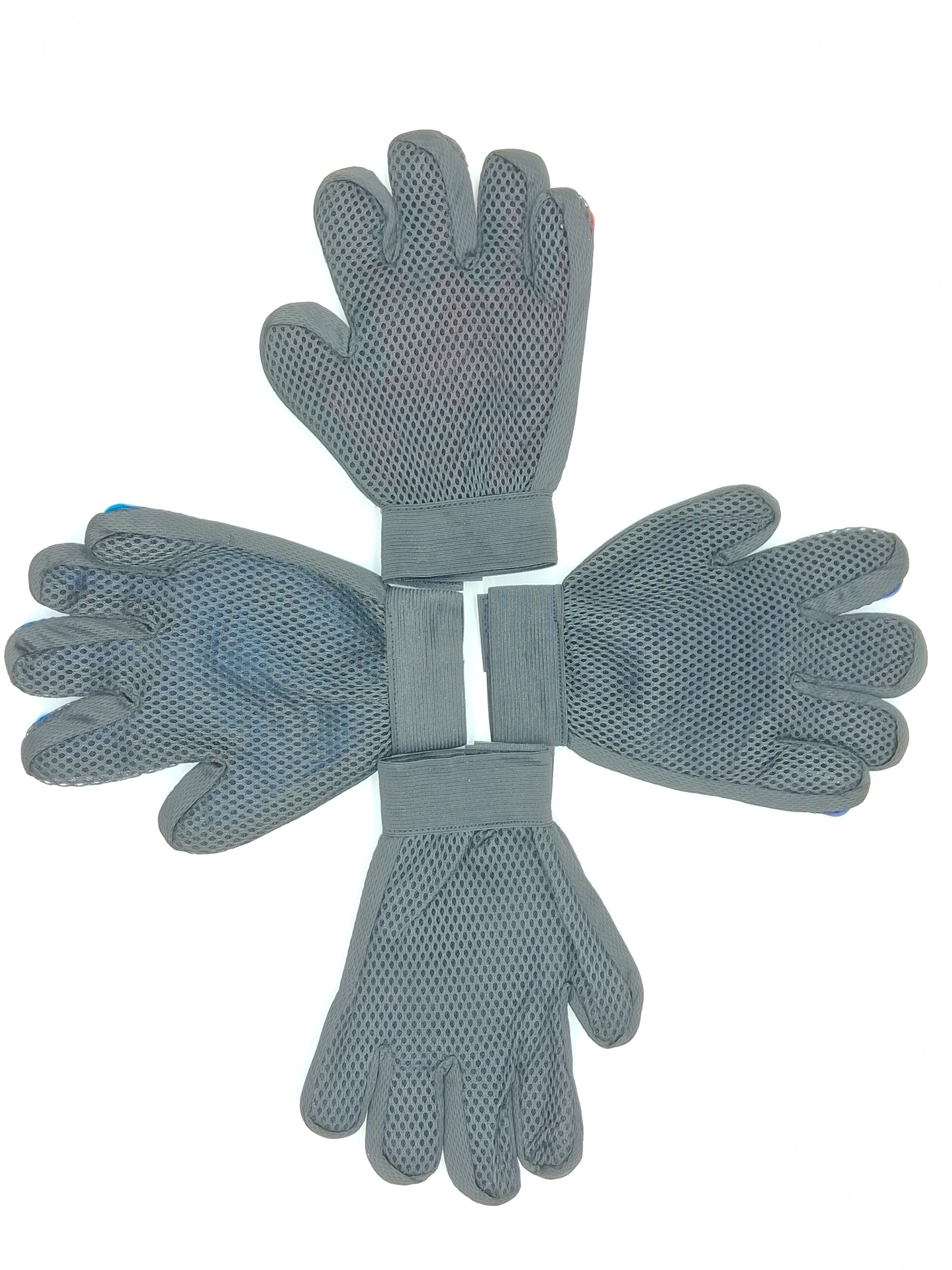 Grooming Glove by Toys N Treats Box