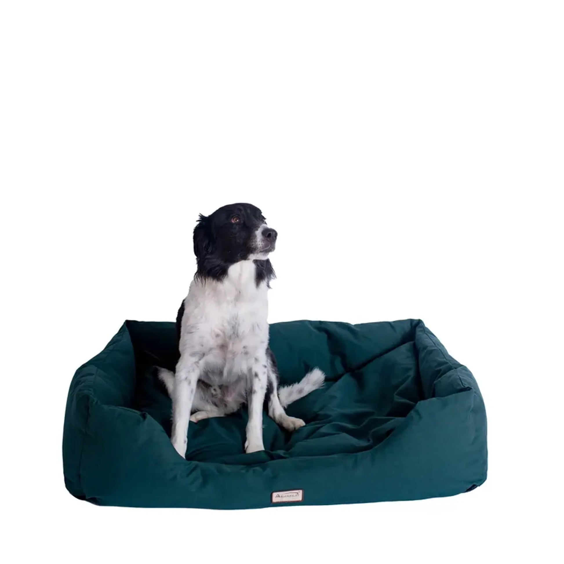 Armarkat Bolstered Dog Bed, Anti-Slip Pet Bed, Laurel Green by AeroMark