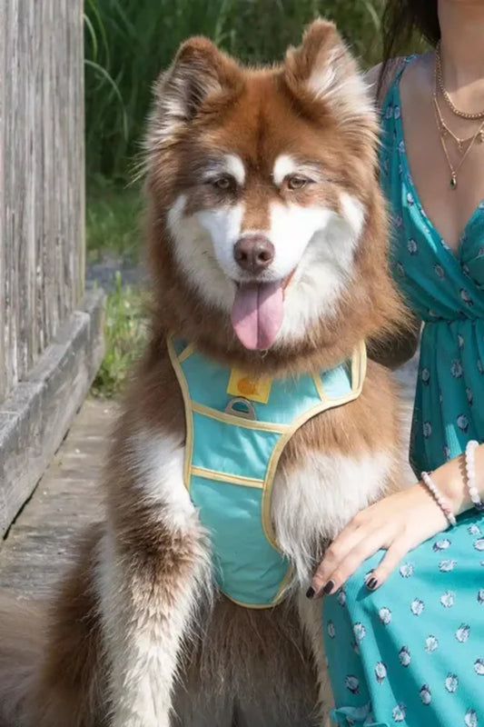 Island Vibes Ultimate Dog Harness by Aria the Fox
