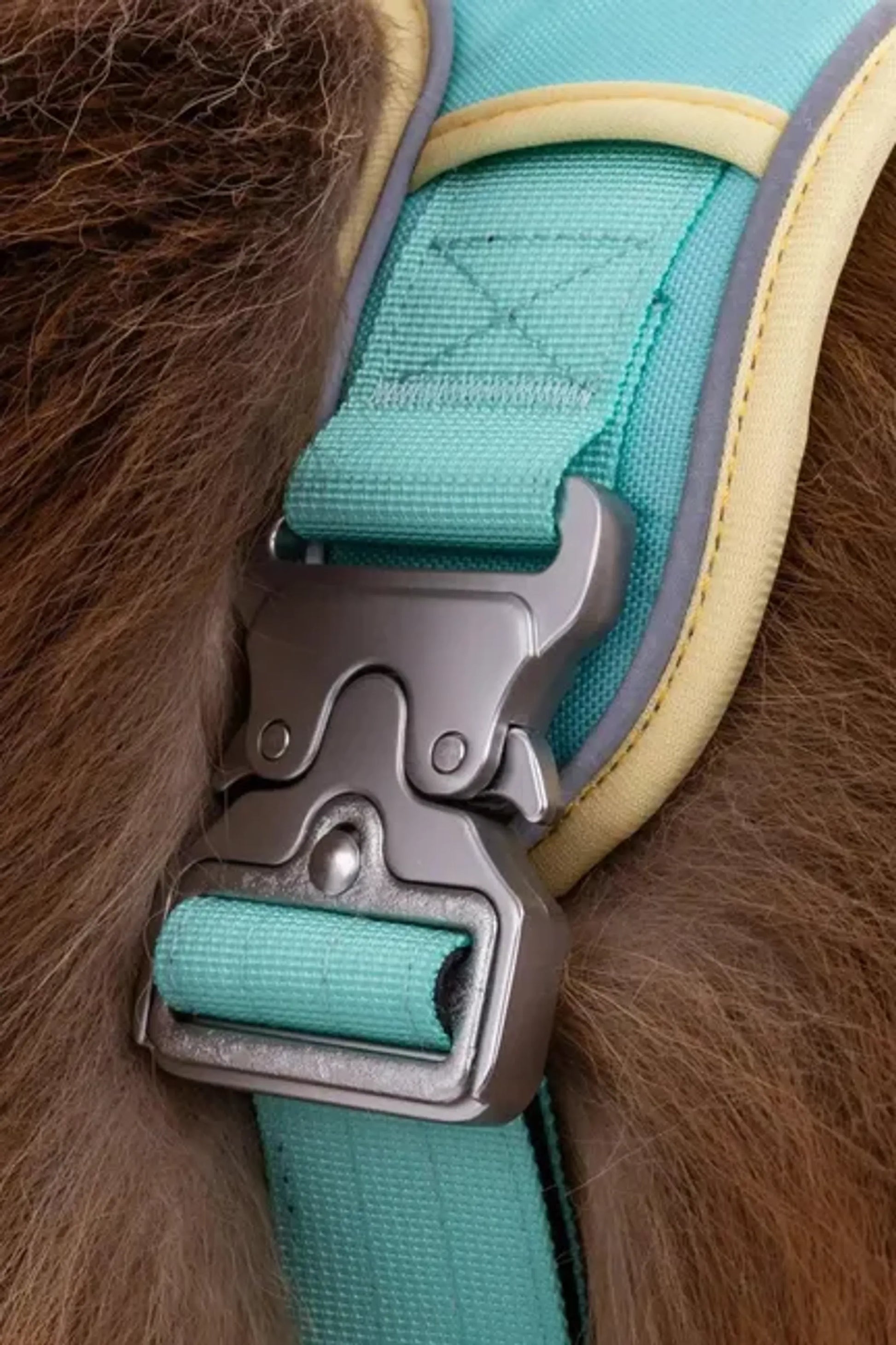 Island Vibes Ultimate Dog Harness by Aria the Fox