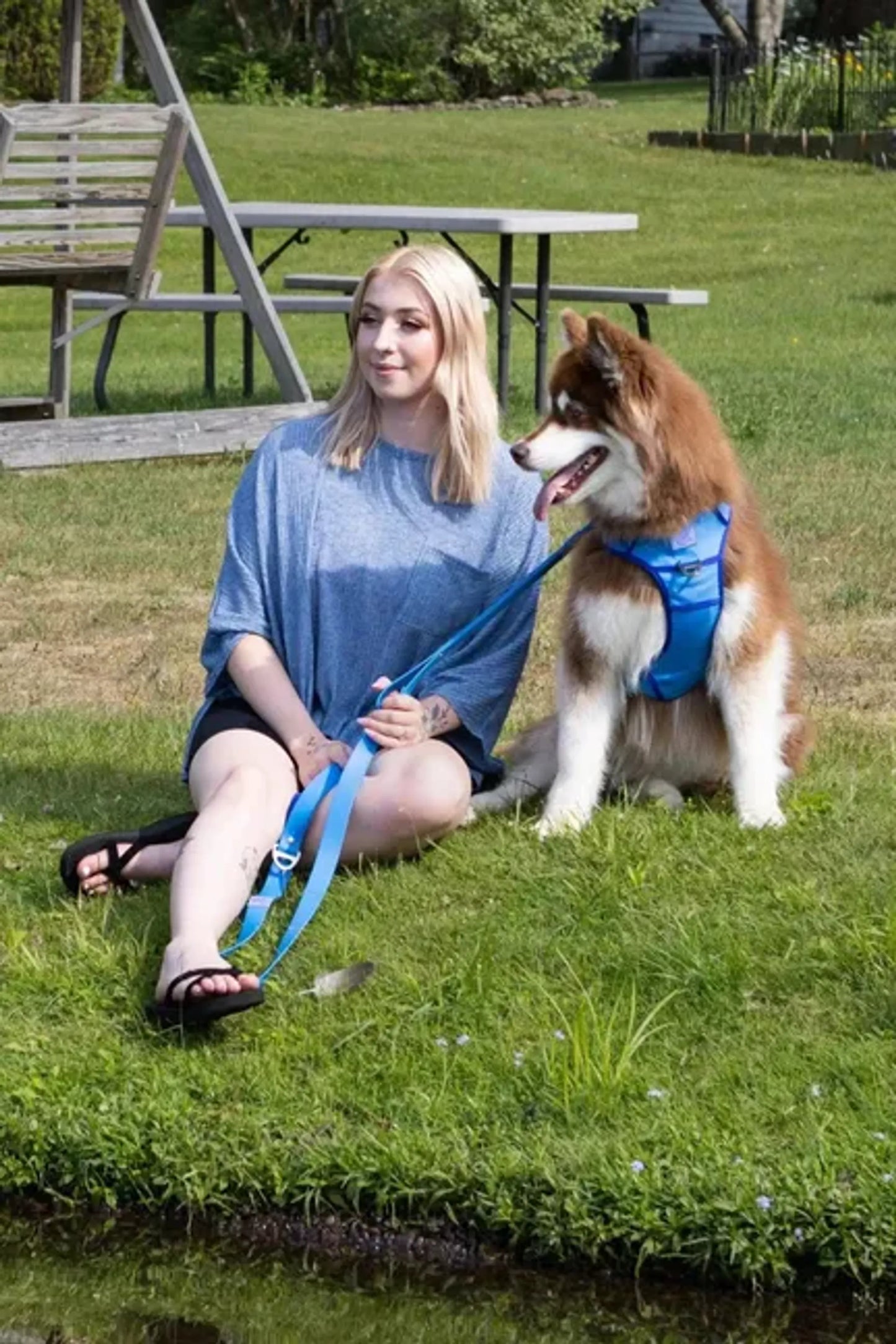 Dockside Adventures Ultimate Harness by Aria the Fox