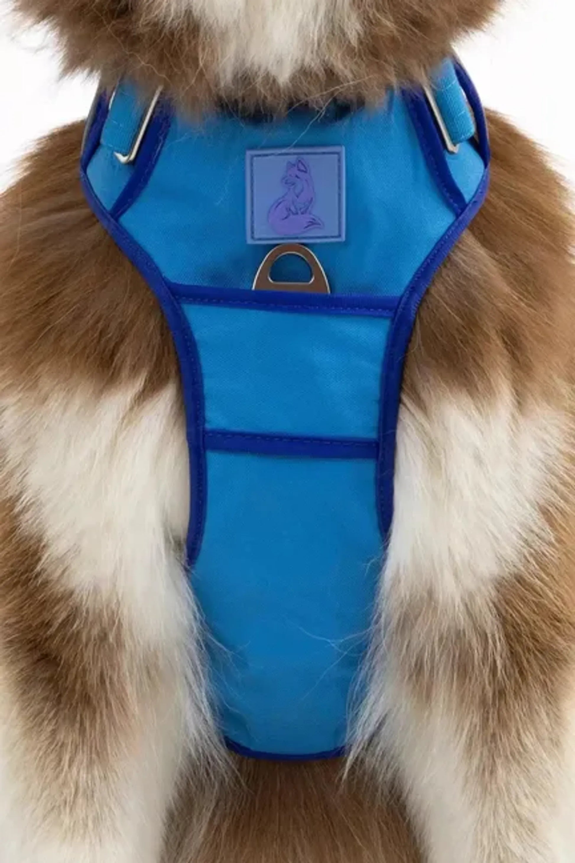 Dockside Adventures Ultimate Harness by Aria the Fox