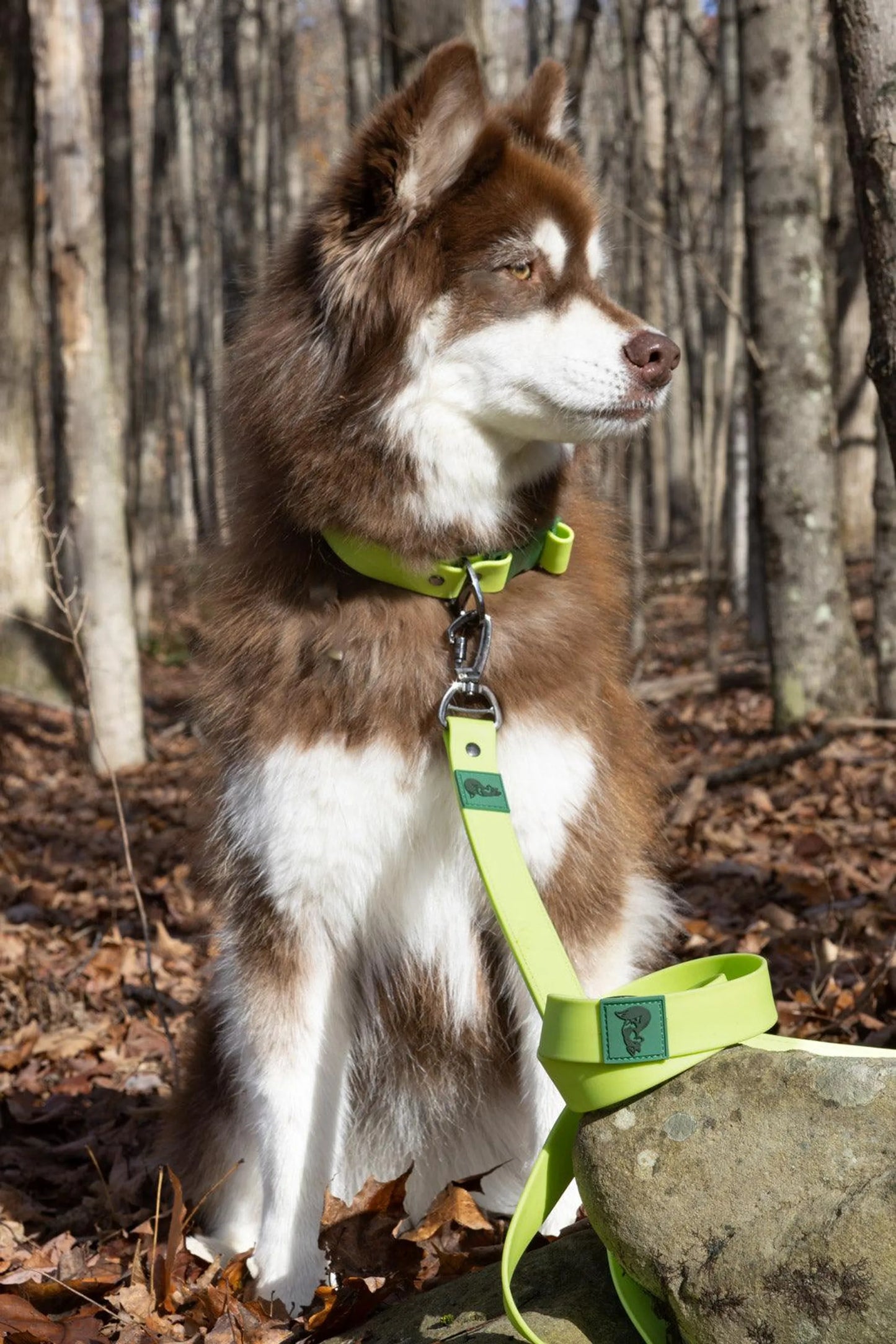 Mossy Pine Waterproof Leash by Aria the Fox