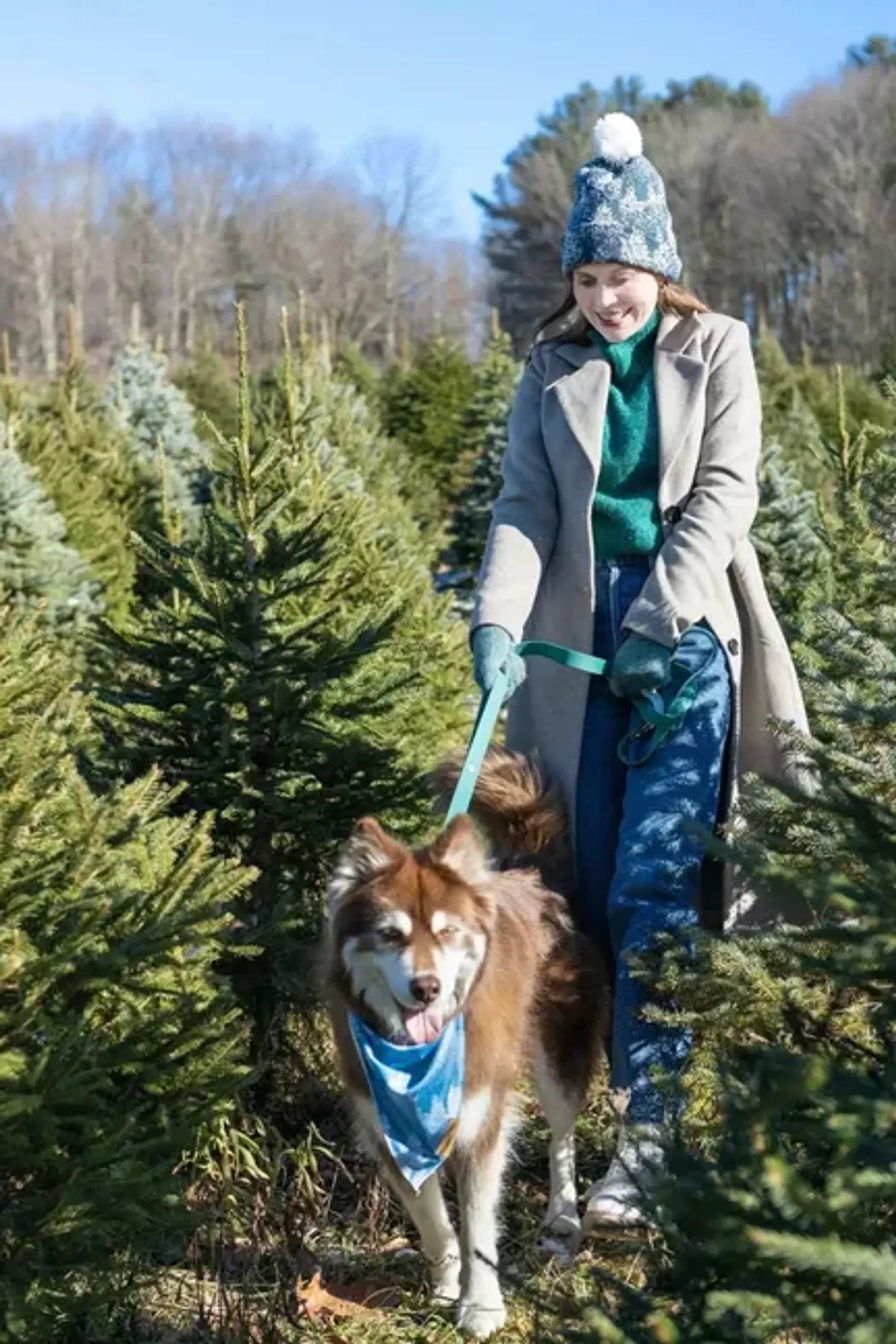 Siberian Spruce Waterproof Dog Leash by Aria the Fox
