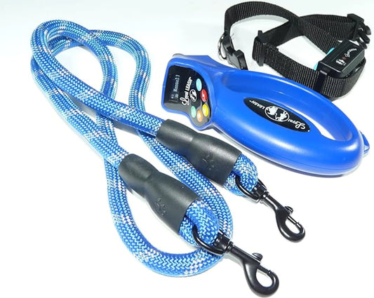 Loyal leash by Hetzer Design and innovations