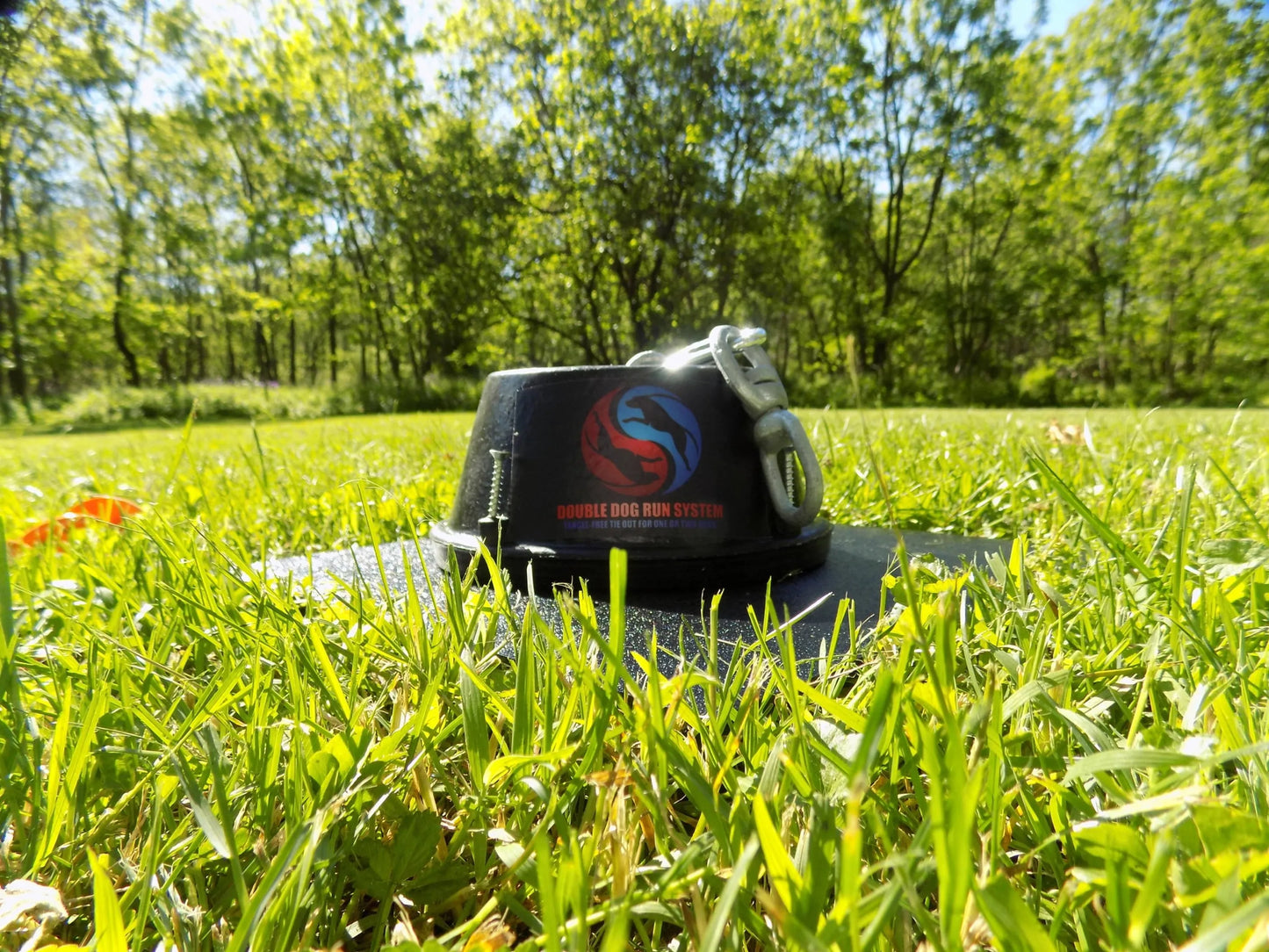 Double Dog Run Tangle-free Two Dog Tie Out Stake by Infinitely Tied