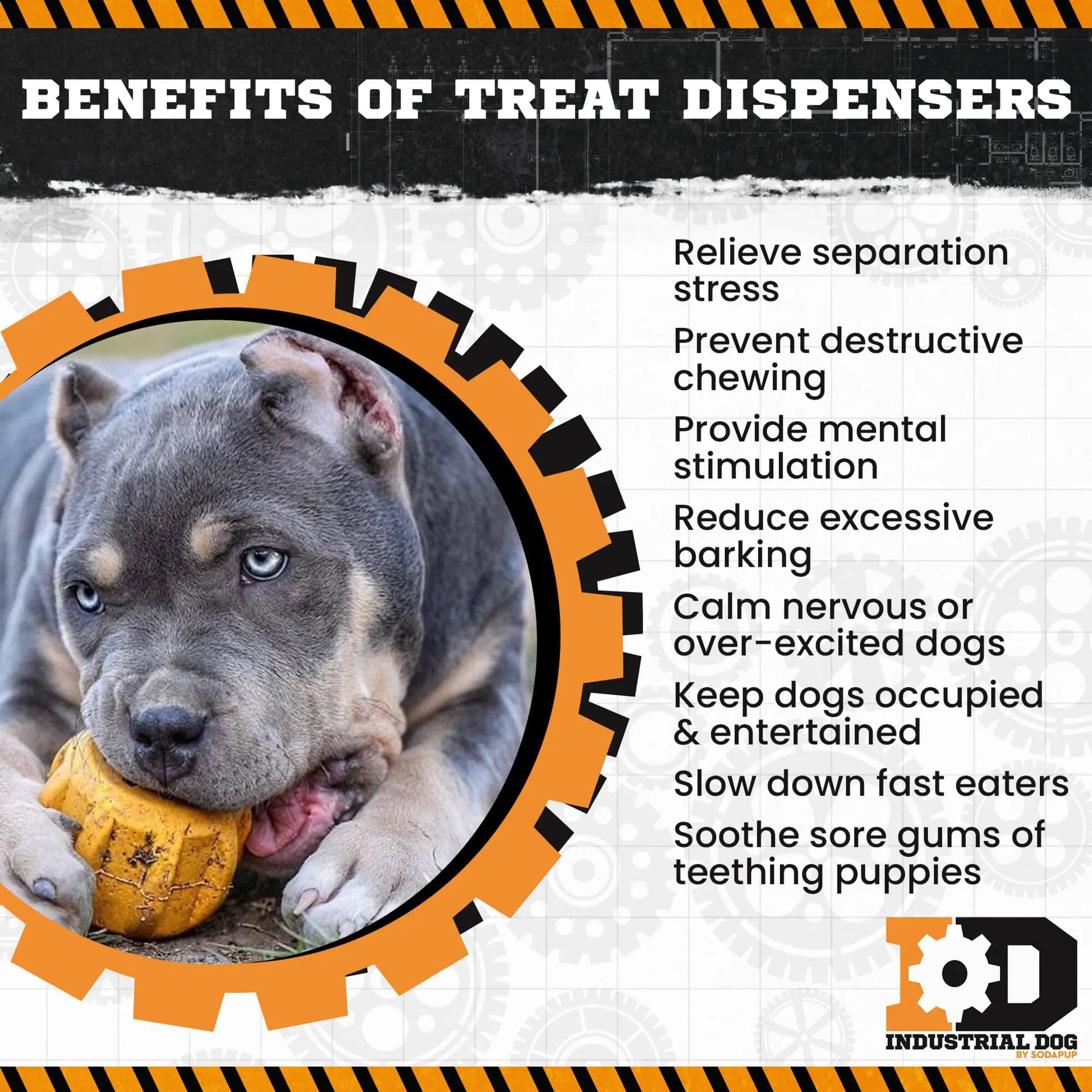 ID Gear Treat Pocket Durable Rubber Treat Holder and Chew Toy by SodaPup