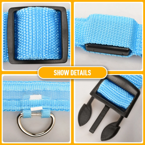 LED Adjustable Dog Collar Blinking Light Up Glow Safety by Titan's Tails & Treats