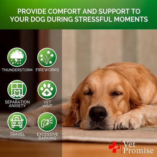 Hemp Calming Chews for Dogs with Anxiety and Stress Dog Calming by Titan's Tails & Treats