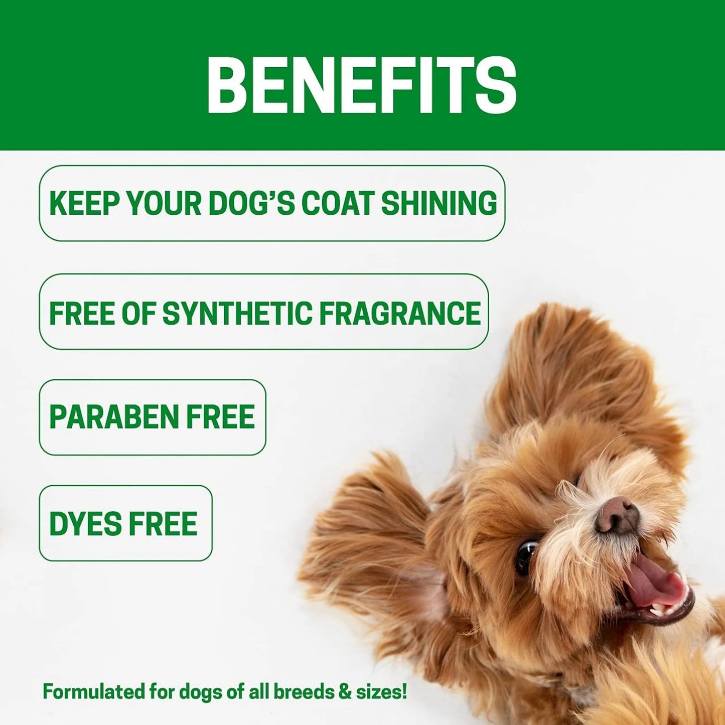 All-Natural Dog Shampoo (5 Treatment Options Available) - Size: 16 OZ | Pack Of: 1 by Romekin USA Corp