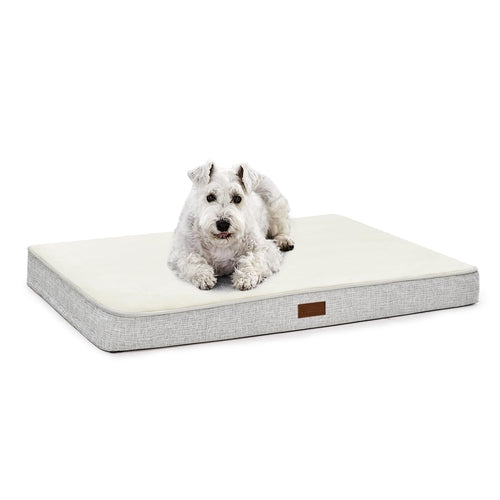 Orthopedic Dog Bed with Washable Cover, Non-Slip by Titan's Tails & Treats