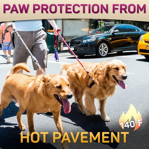 Natural Dog Paw Balm Dog Paw Protection for Hot Pavement Dog Paw Wax by Titan's Tails & Treats