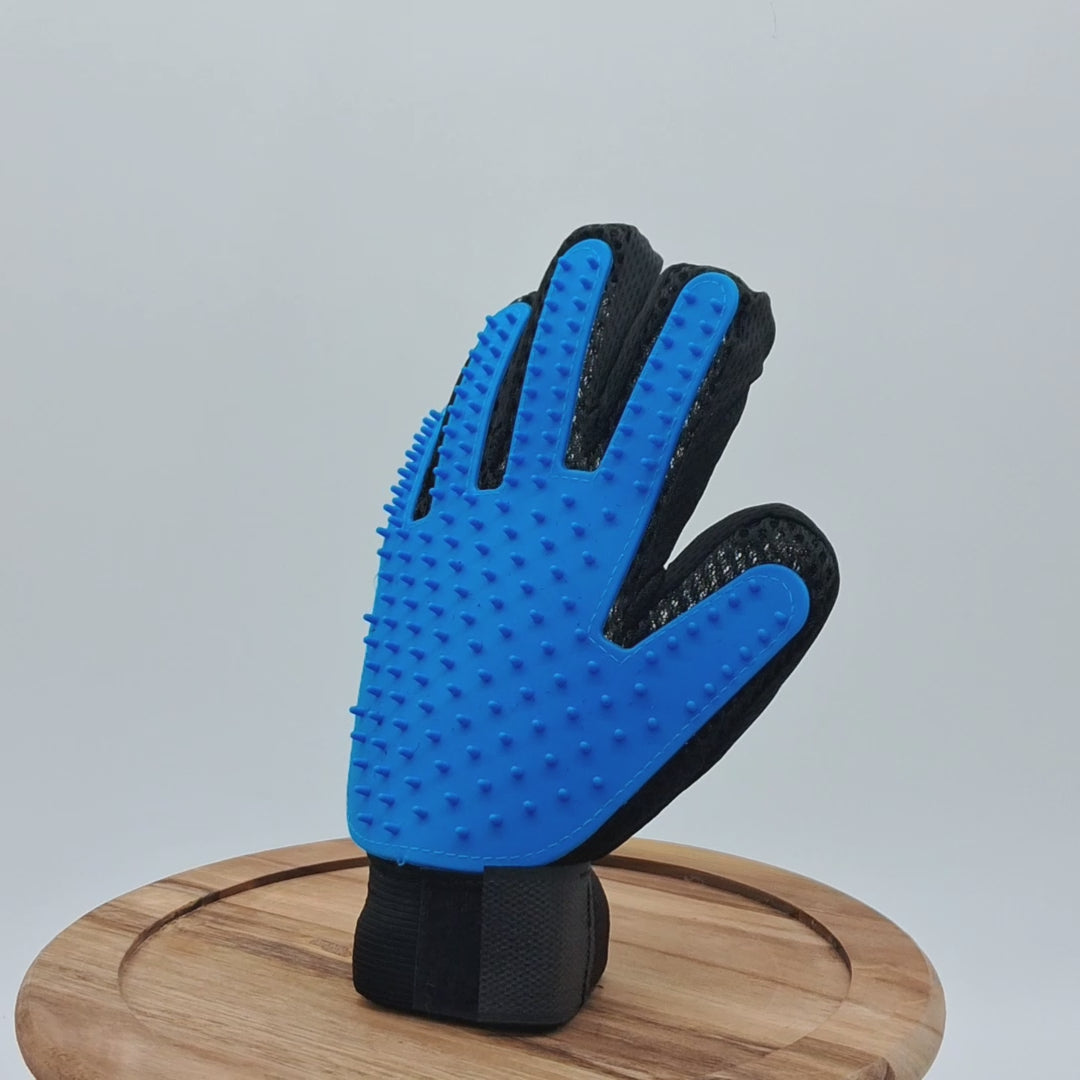 Grooming Glove by Toys N Treats Box