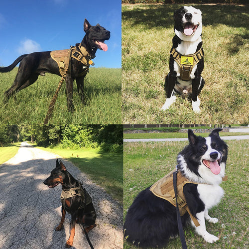 Fast Shipping Military Dog Tactical Harness And Leash Set by Titan's Tails & Treats