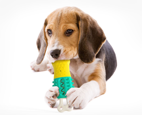 Summer Cooling Cleaning Care Teeth Pet Chewing Supplies by Titan's Tails & Treats