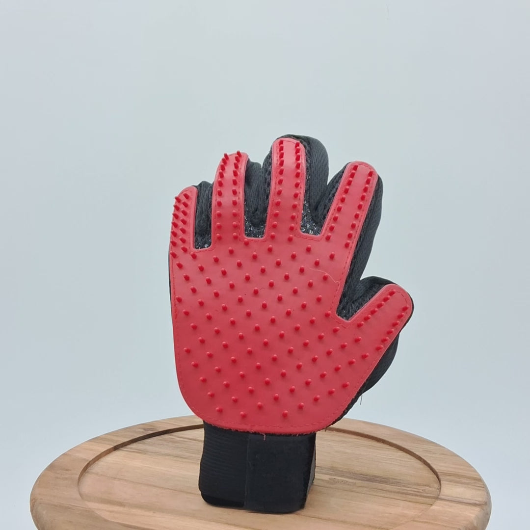 Grooming Glove by Toys N Treats Box