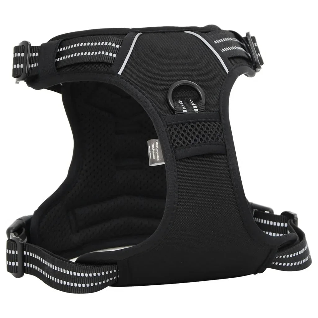 Harness