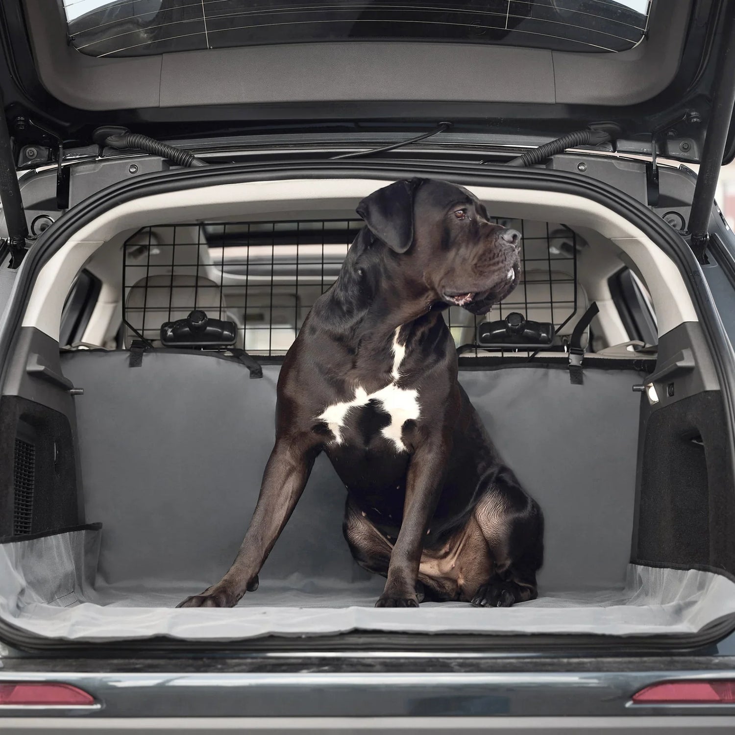 Car Seat Cover Protector