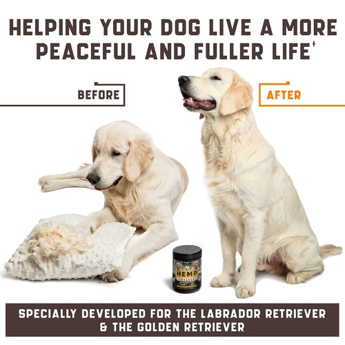 Calming Chews for Labrador Dogs with Valerian Root and Hemp Oil Aid by Titan's Tails & Treats
