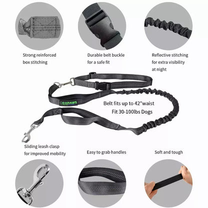 JESPET Hands Free Dog Leash for Running, Walking, Hiking Jogging for Medium & Large Dogs up to 150lbs, Durable Dual Handle Waist Leash with Reflective Bungee and Adjustable Waist by JESPET