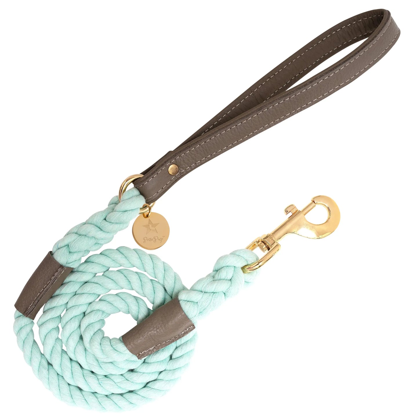 Dog Leash by PoisePup