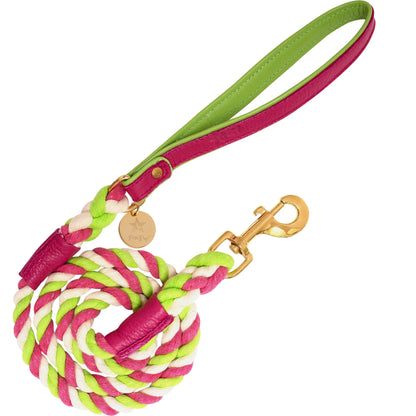 Dog Leash by PoisePup