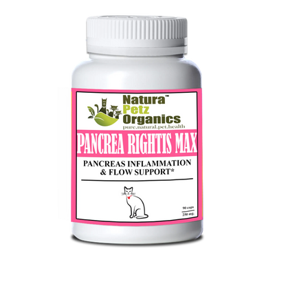 Pancrea Rightis Max Support* Capsules Pancreas Inflammation & Flow Support Dogs Cats* by Organic Pet Systems