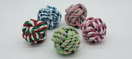 Fetch Ball by Toys N Treats Box