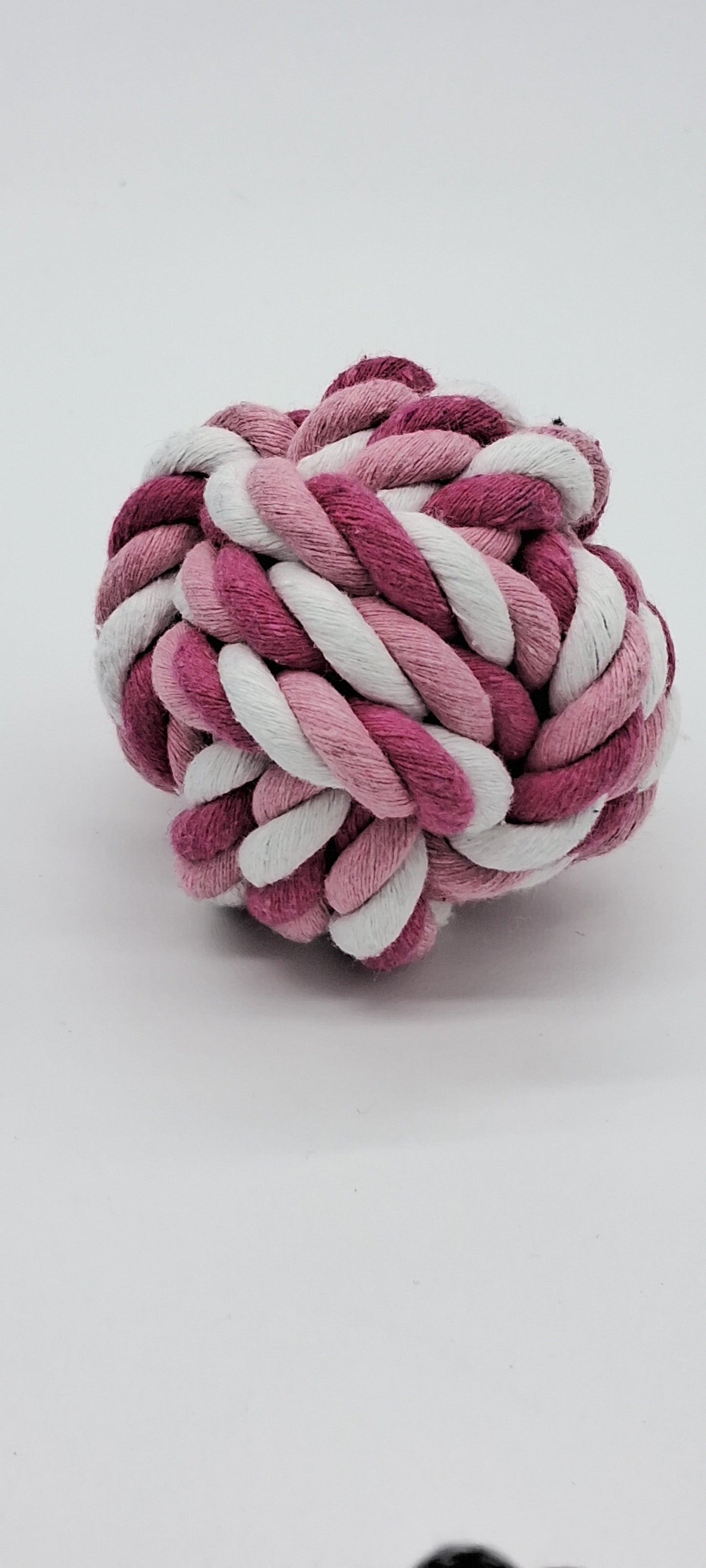 Fetch Ball by Toys N Treats Box