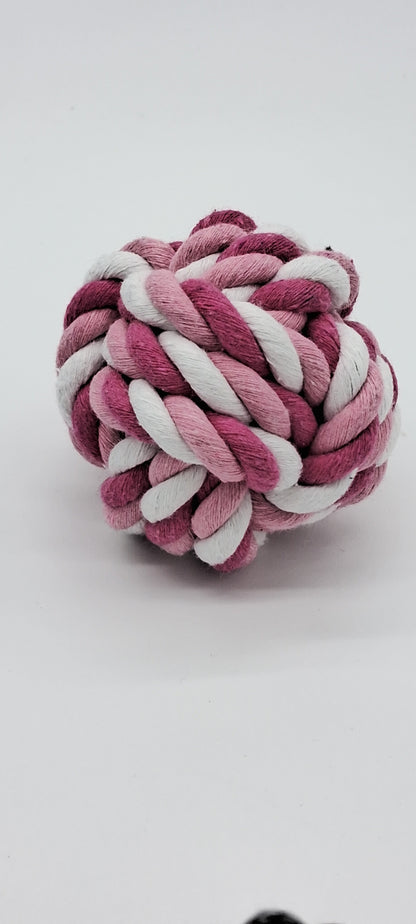 Fetch Ball by Toys N Treats Box