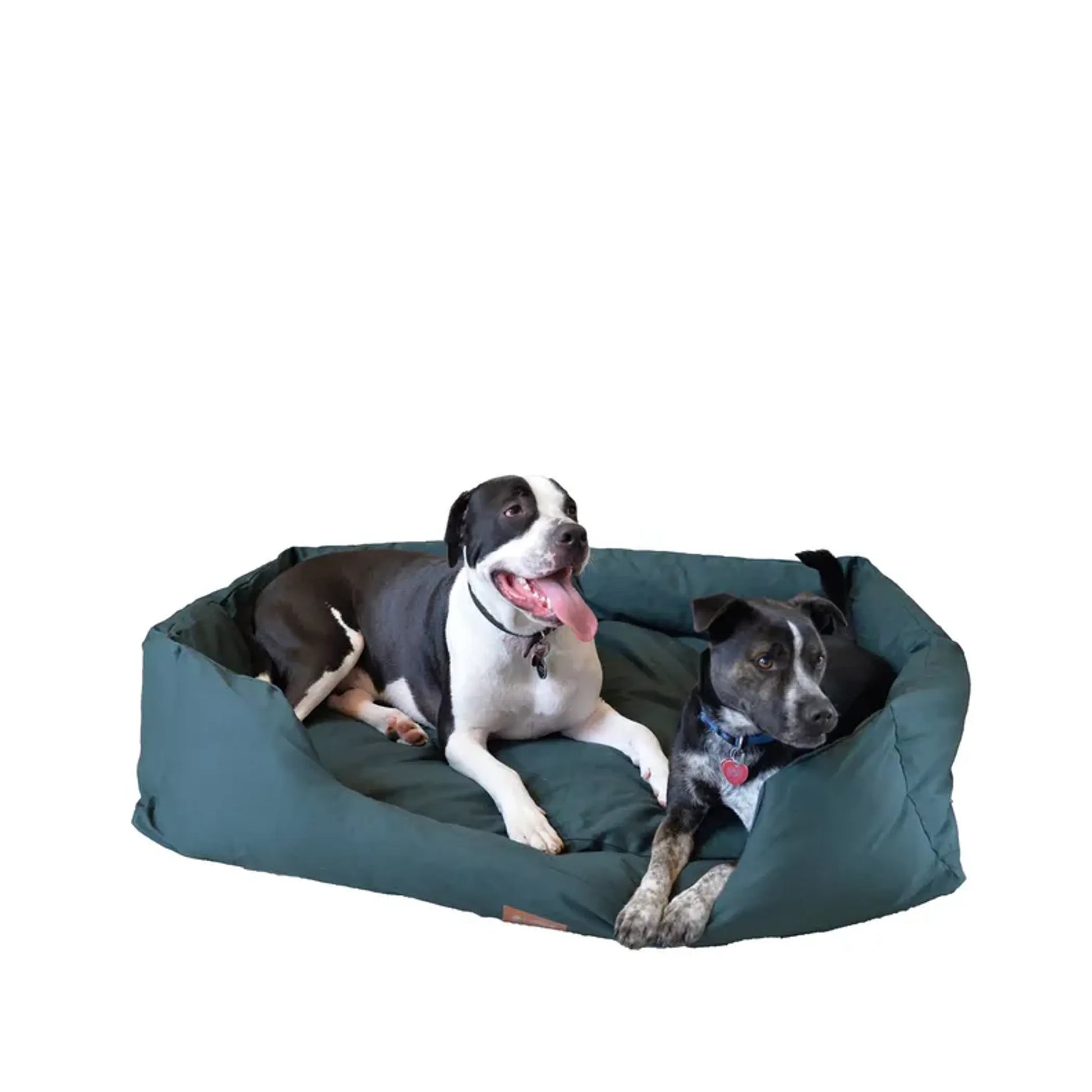 Armarkat Bolstered Dog Bed, Anti-Slip Pet Bed, Laurel Green by AeroMark