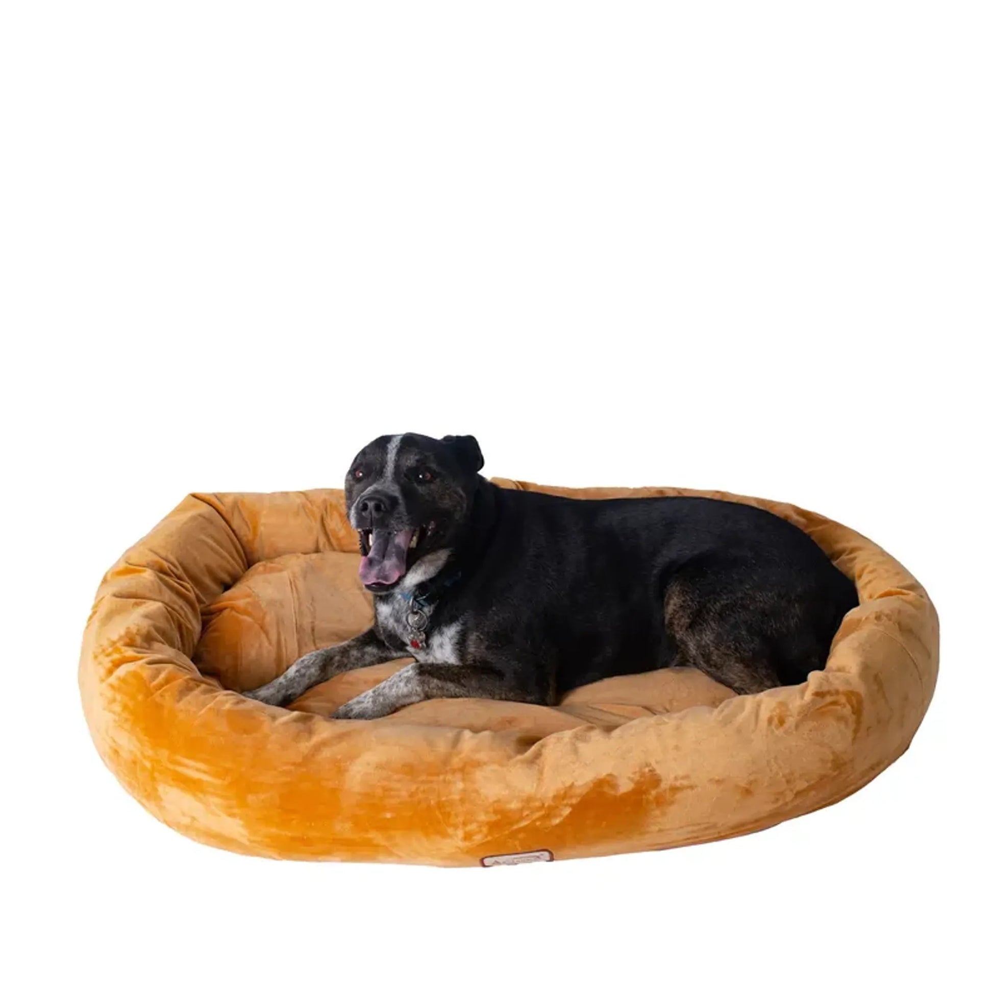 Armarkat Bolstered Pet Bed and Mat, ultra-soft Dog Bed S/M/L by AeroMark