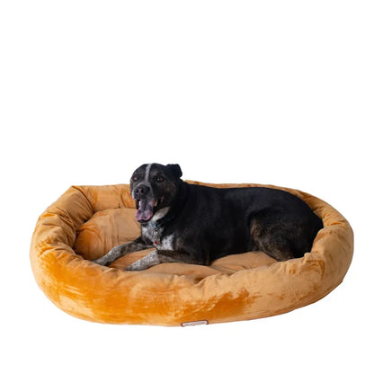 Armarkat Bolstered Pet Bed and Mat, ultra-soft Dog Bed S/M/L by AeroMark