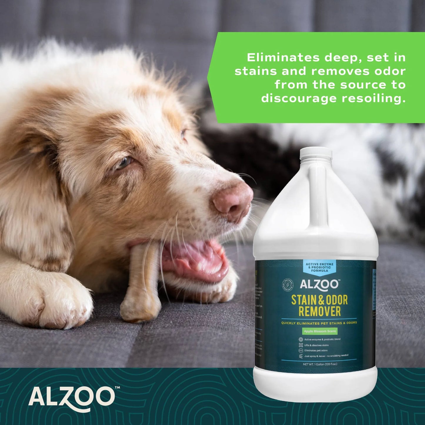 ALZOO Enzymatic Stain & Odor Remover Apple Blossom, 32oz by ALZOO