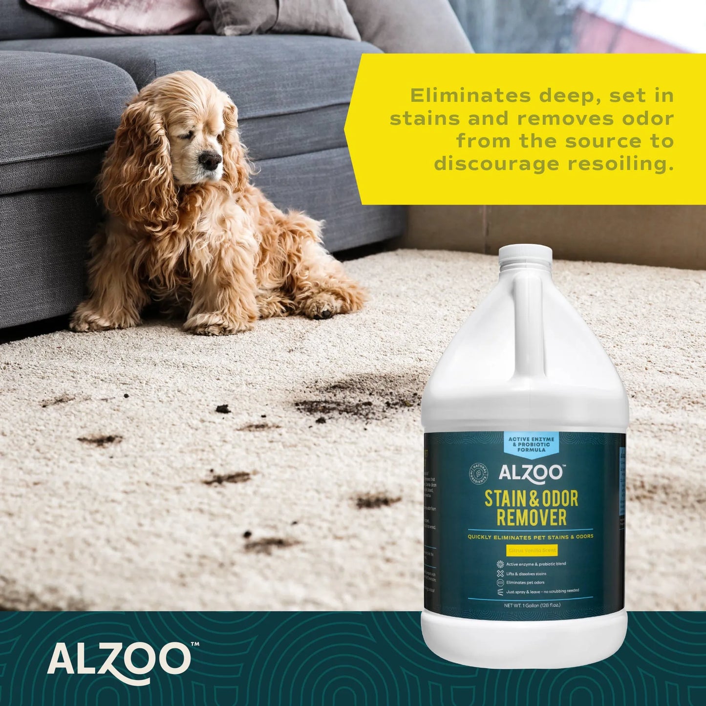 ALZOO Enzyme Stain & Odor Remover Citrus Vanilla, 16oz by ALZOO