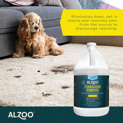 ALZOO Enzyme Stain & Odor Remover Citrus Vanilla, 16oz by ALZOO