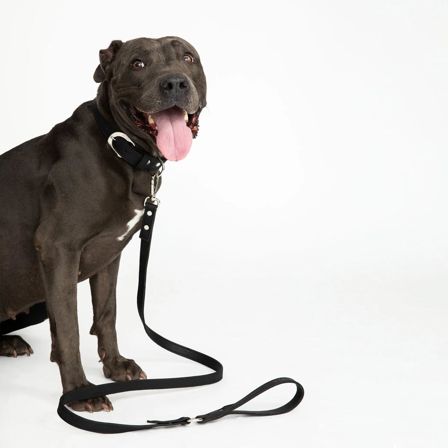 Midnight Black Cork Leather Leash by DIPHDA