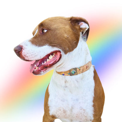 Rainbow Pride Collar Charm Set by DIPHDA